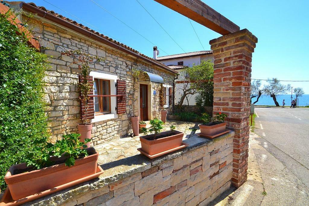 Villa Giardin Novigrad Istria المظهر الخارجي الصورة